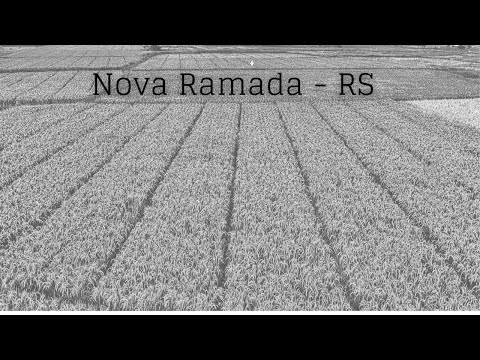 Nova Ramada - Rio Grande do Sul