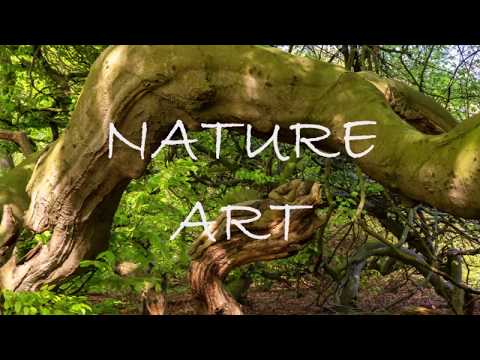 NATURE ART (Part1/engl.) / HUMANS IN LANDSCAPES - a bodypaint project by artist Jörg Düsterwald
