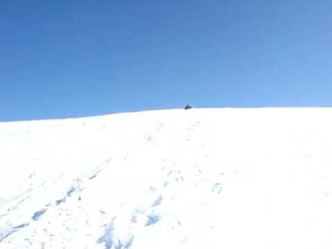 osoi- baietii cu sacii :)):)) belea mare ;);) nu o sa regretati...:)):))