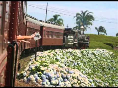 O Trenzinho do Caipira video