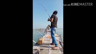 preview picture of video 'Mancing di bagan jembat dapat ikan HIU MONSTER.'