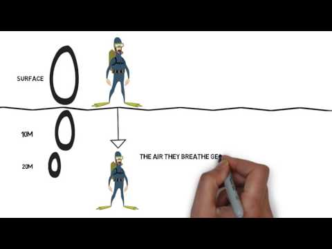 PADI Instructor and Divemaster Physics VIDEO 2