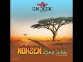 Nokzen Ft Zama Radebe Ziningi Indlela