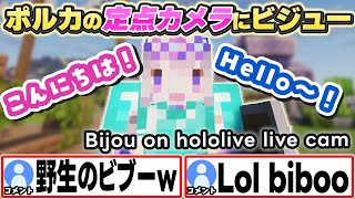 [ENG SUB] ポルカの定点カメラに映り込むビジューが可愛いw Bijou on hololive live cam【尾丸ポルカ/Koseki Bijou/ホロライブ/切り抜き】