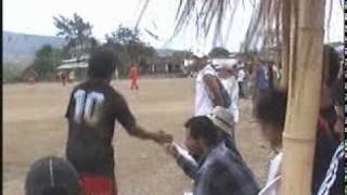 preview picture of video 'RobertS V & M - Gol Chepo en la semifinal 2009'