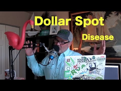 Dollar Spot Lawn Disease | Lawn Fungus Treatment Strategy
