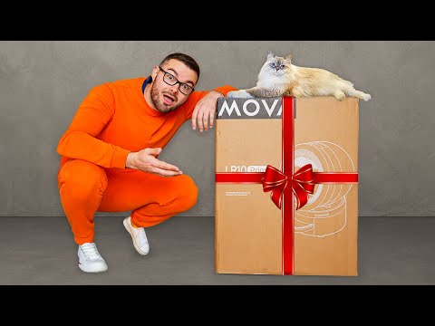 I'm testing the perfect smart device for cats! (MOVA MeowgicPod LR10 Prime)