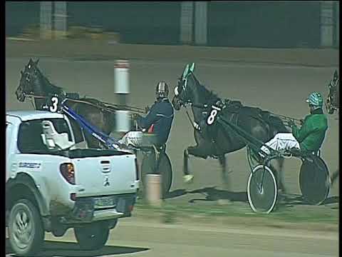 Trotto 15/12/2017 - 7ª corsa