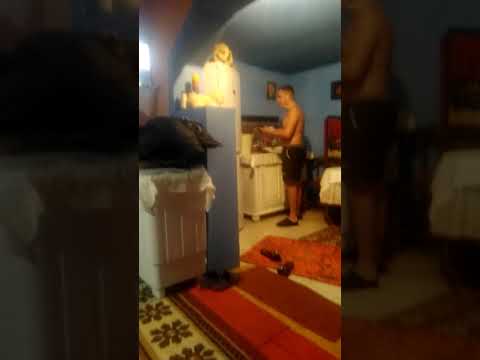 Doua vocii Daryus de la gligoresti