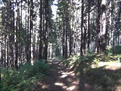 Góry złote i Bialskie