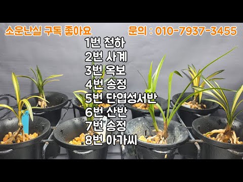 유튜브 썸네일