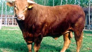 [問卦] 民國58年  有500萬現金 算有錢人嗎?