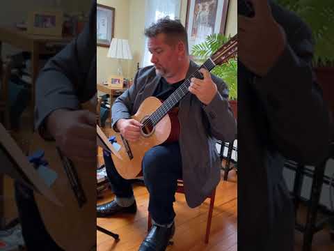 Rios Nebro Guitars Classical concert guitar  2021. Western Cedar top. image 13