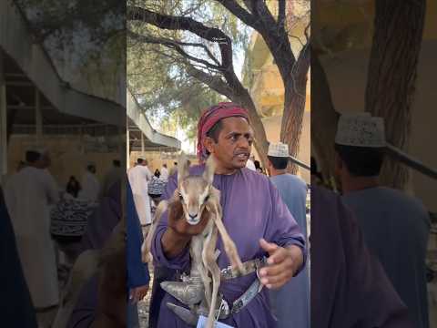 المناداة في سوق بهلاء 🇴🇲