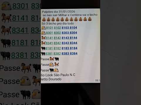 Betto Dourado Palpites Bagaceira dia 31/01/2026 Rio Look São Paulo Nacional 