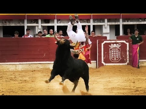 Medina del Campo 2023 Campeonato de Cortes con Toros Bravos