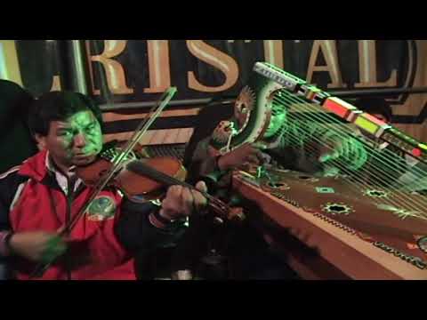 PÍCAROS DE LA JARANA 2019,,,,,,