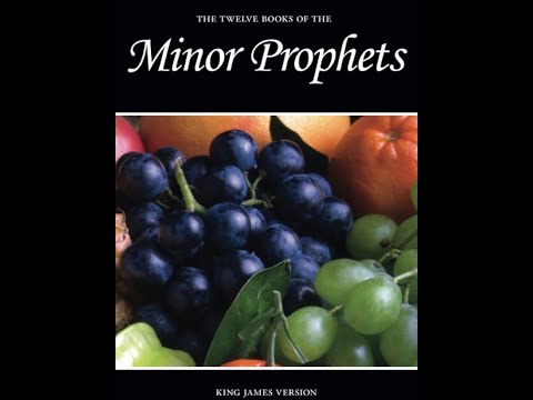 The Minor Prophets by King James Version - Audiobook
