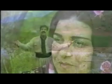 Nori ahmadi Amoza gyan