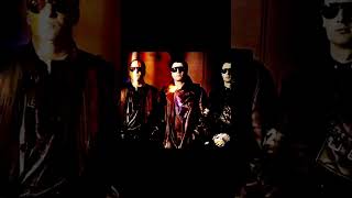 FRONT 242 &quot;Lovely Day&quot; Fan video 😎