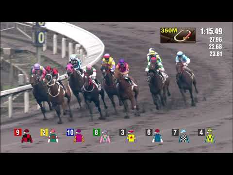 17/4/2021 (596) So We Joy - Derek Leung