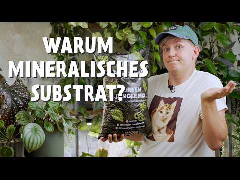 THIS IS WHY YOUR plants should be planted in a mineral substrate ⚠️ + all the benefits