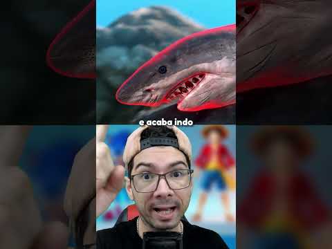 ESSA SOPA É SABOR TUBARÃO