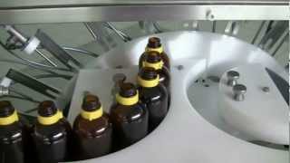 IN LINE BOTTLE BLOWER GTS-10