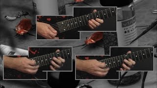 3_Ron Jarzombek - 'Ingesting Blattaria' - all guitar parts
