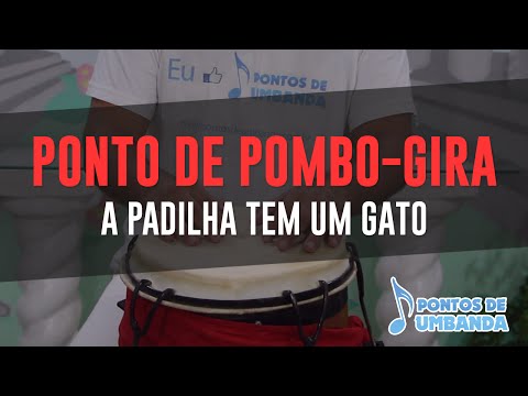 Capa do vídeo: A Padilha tem um gato