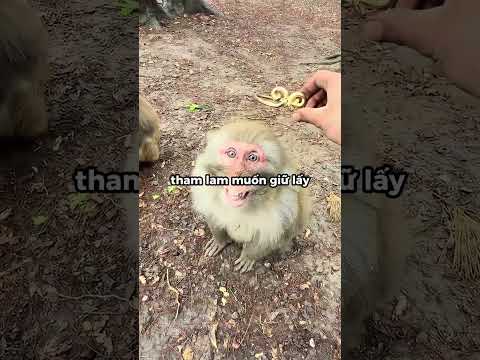 Phong thái của kẻ đứng đầu 😎