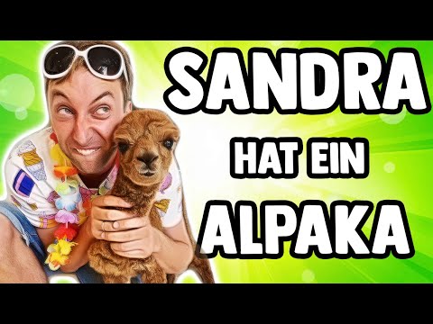 Sandra hat ein Alpaka😆 | Freshtorge