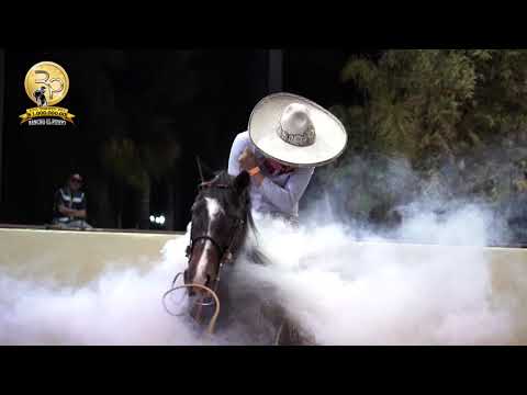 Piales Como Nunca Los Has Visto