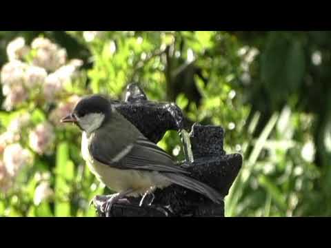 Opwekking 788 Wees welkom