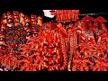 ASMR SPICY SEAFOOD SPICY ENOKI MUSHROOM OYSTER 해물찜 팽이버섯 OCTOPUS CHICKEN 치킨 떡볶�