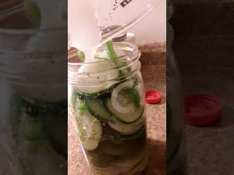 download lagu mp3 mp4 Amish Sweet Dill Pickles, download lagu Amish Sweet Dill Pickles gratis, unduh video klip Amish Sweet Dill Pickles