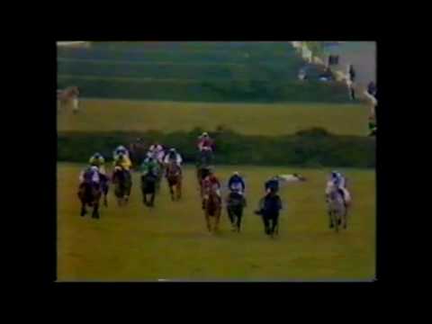 1985 Topham Trophey Aintree full race