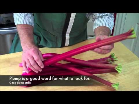 download lagu mp3 mp4 When Should You Not Pick Rhubarb, download lagu When Should You Not Pick Rhubarb gratis, unduh video klip When Should You Not Pick Rhubarb