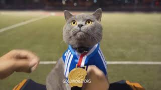 Funny Cat Movies HD Episode 3 The Cat Who Finally Caught the Laser