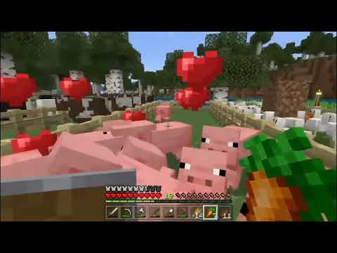 Minecraft Survival Episode 135 Farm Work