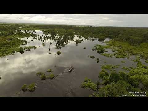 Navigating the San Carlos River, in the Bolivian Amazon