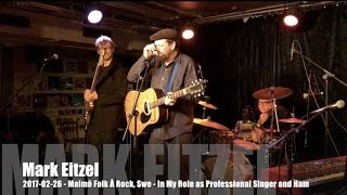 Mark Eitzel - In My Role as Professional Singer and Ham - 2017-02-26 - Malmö Folk Å Rock, Swe