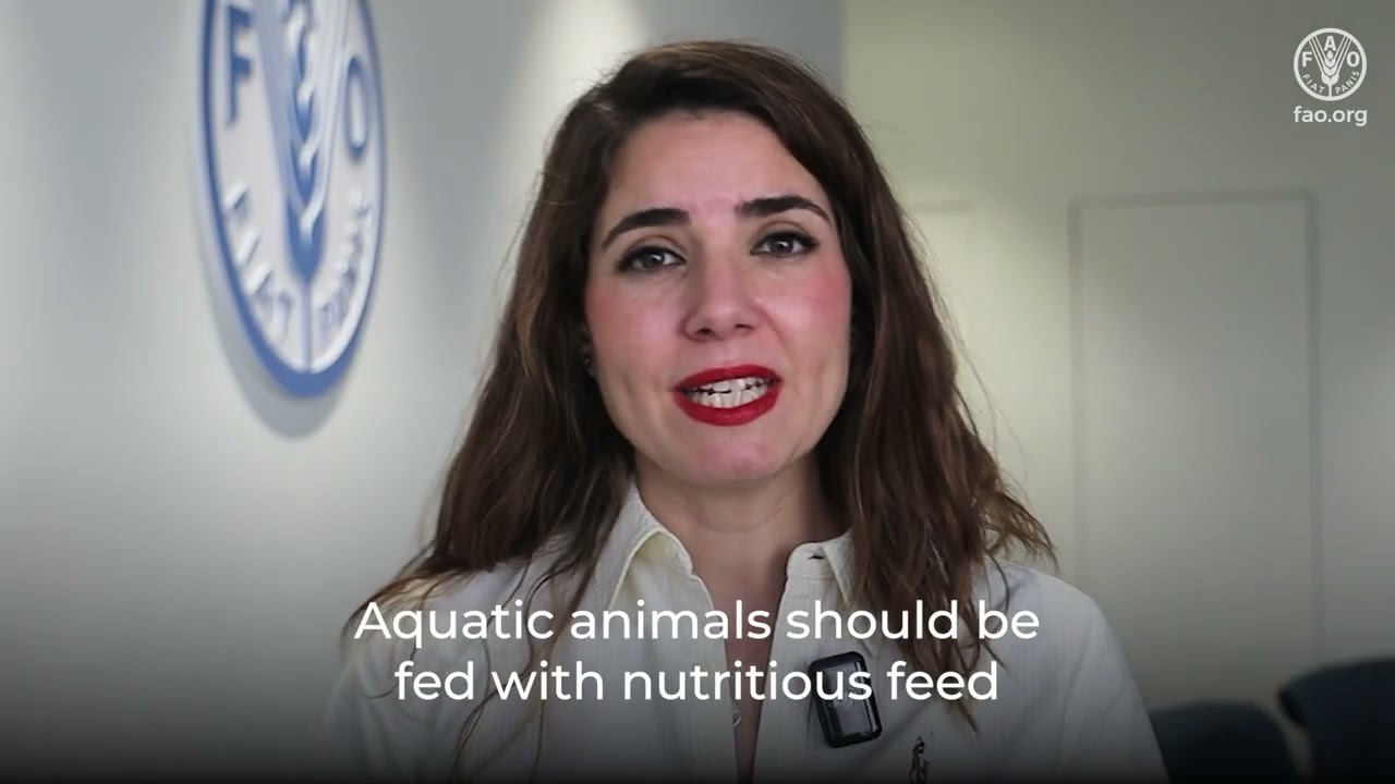 AMR Farmyard – Expert video on the aquaculture worker