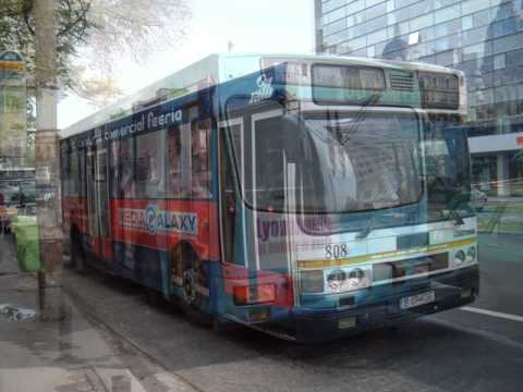 SIBIN MARGITANOVIC - SUS,SUS,MANDRO SUS