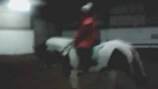 preview picture of video 'practice dressage test on Tia ha ha bit wrong'