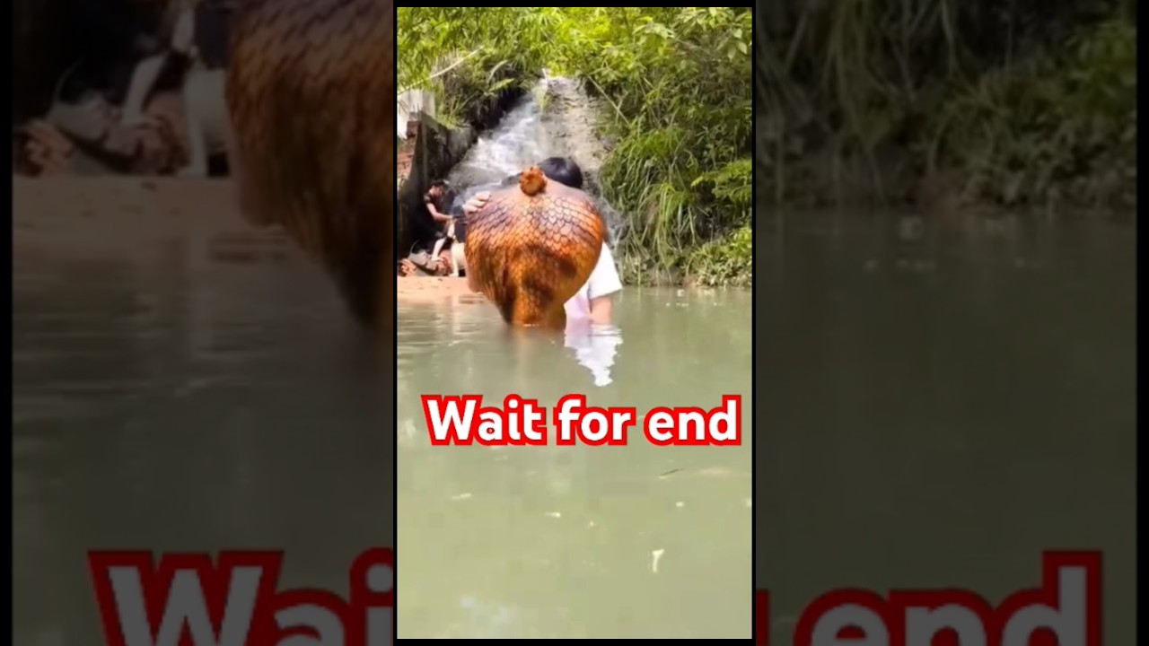 Namo buddhaya ❤️🙏#shorts #shortvideo #viralvideo #trending #buddha #motivation #india #motivation