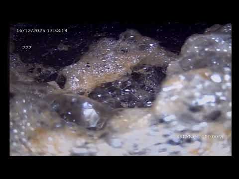 Extracto 222 - 25 De Mayo - San Juan