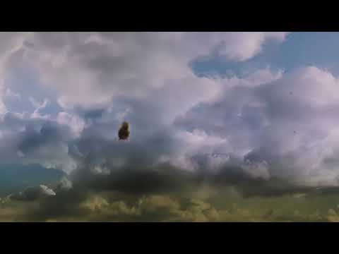 Video thumbnail for Elephant Gun
