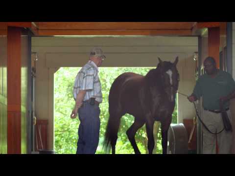 Lane's End Bloodstock
