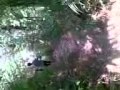 abg mesum di kebun - YouTube